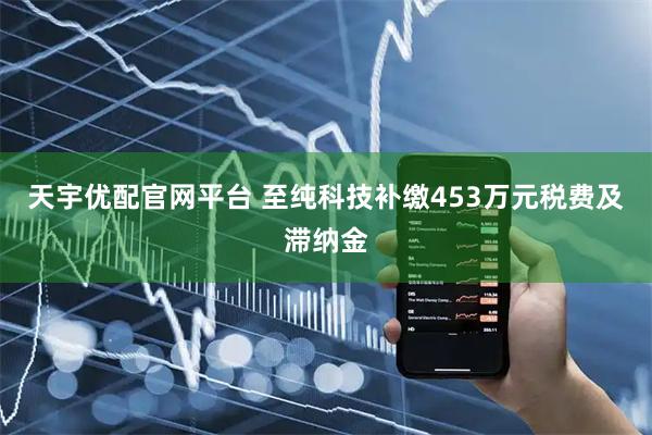 天宇优配官网平台 至纯科技补缴453万元税费及滞纳金
