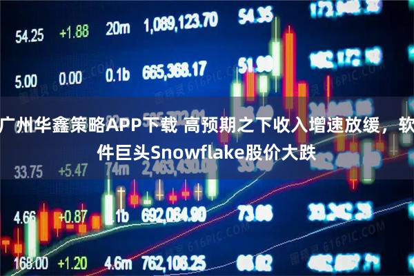 广州华鑫策略APP下载 高预期之下收入增速放缓，软件巨头Snowflake股价大跌